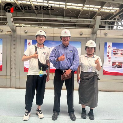 electrical steel electrical steel